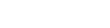 BUILD X